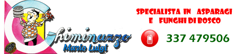 logo_Chiminazzo